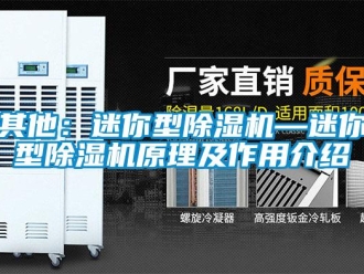 行業(yè)新聞其他：迷你型除濕機—迷你型除濕機原理及作用介紹