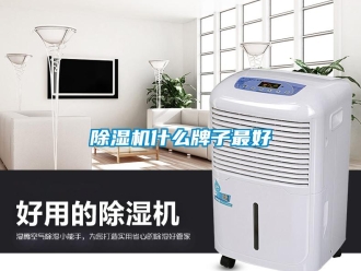 企業(yè)新聞除濕機(jī)什么牌子最好