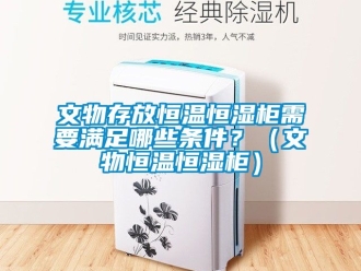 知識百科文物存放恒溫恒濕柜需要滿足哪些條件？（文物恒溫恒濕柜）