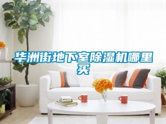 行業(yè)新聞華洲街地下室除濕機(jī)哪里買