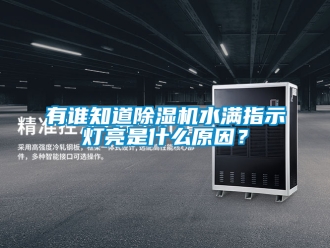 行業(yè)新聞?dòng)姓l(shuí)知道除濕機(jī)水滿指示燈亮是什么原因？