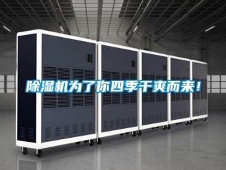 行業新聞除濕機為了你四季干爽而來！