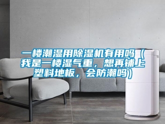 行業新聞一樓潮濕用除濕機有用嗎（我是一樓濕氣重，想再鋪上塑料地板，會防潮嗎）