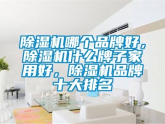 企業新聞除濕機哪個品牌好，除濕機什么牌子家用好，除濕機品牌十大排名