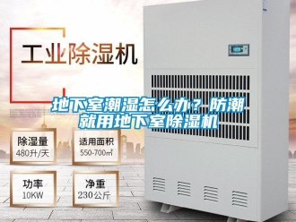 行業新聞地下室潮濕怎么辦？防潮就用地下室除濕機