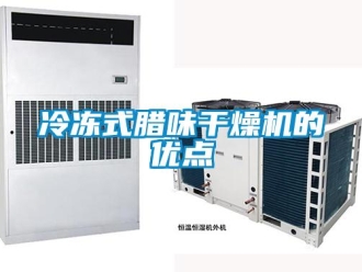 行業(yè)新聞冷凍式臘味干燥機(jī)的優(yōu)點