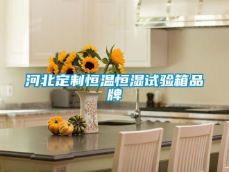 知識(shí)百科河北定制恒溫恒濕試驗(yàn)箱品牌