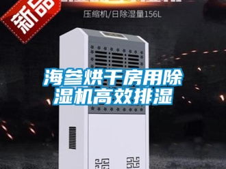 行業(yè)新聞海參烘干房用除濕機(jī)高效排濕