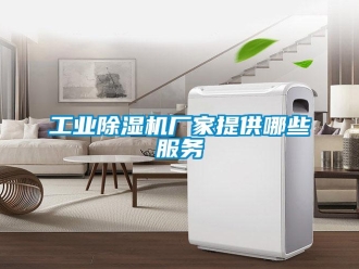 企業(yè)新聞工業(yè)除濕機(jī)廠(chǎng)家提供哪些服務(wù)