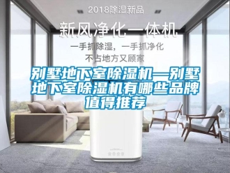 企業新聞別墅地下室除濕機—別墅地下室除濕機有哪些品牌值得推薦