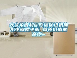 行業新聞大頭菜能利尿除濕促進機體水電解質平衡 營養價值很高喲~