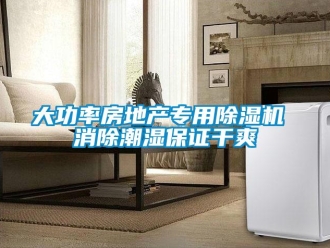 行業新聞大功率房地產專用除濕機 消除潮濕保證干爽