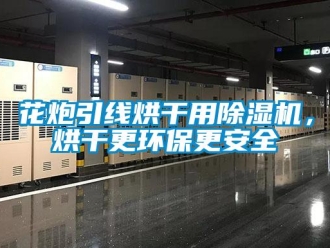 行業新聞花炮引線烘干用除濕機，烘干更環保更安全
