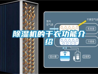 企業(yè)新聞除濕機的干衣功能介紹