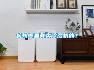 行業(yè)新聞杭州哪里有賣除濕機(jī)的？