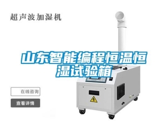 知識(shí)百科山東智能編程恒溫恒濕試驗(yàn)箱