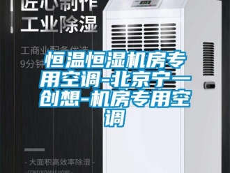 知識百科恒溫恒濕機(jī)房專用空調(diào)-北京寧一創(chuàng)想-機(jī)房專用空調(diào)