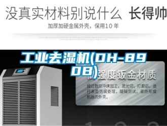 行業新聞工業去濕機(DH-890B)