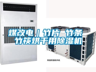 行業(yè)新聞煤改電｜竹片 竹條 竹筷烘干用除濕機(jī)