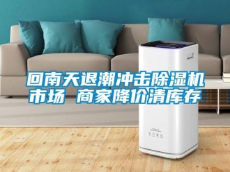 行業(yè)新聞回南天退潮沖擊除濕機(jī)市場(chǎng) 商家降價(jià)清庫(kù)存