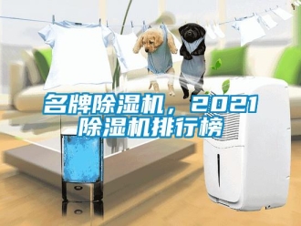 行業(yè)新聞名牌除濕機(jī)，2021除濕機(jī)排行榜