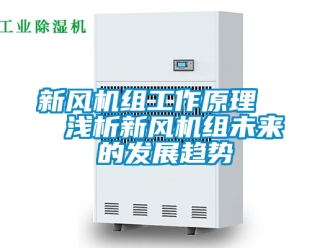 企業(yè)新聞新風(fēng)機(jī)組工作原理   淺析新風(fēng)機(jī)組未來的發(fā)展趨勢