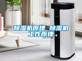 行業(yè)新聞除濕機(jī)原理 除濕機(jī)工作原理