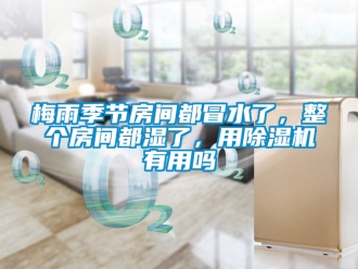 行業新聞梅雨季節房間都冒水了，整個房間都濕了，用除濕機有用嗎