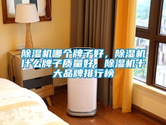 企業新聞除濕機哪個牌子好，除濕機什么牌子質量好，除濕機十大品牌排行榜