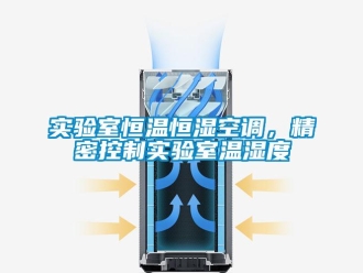 知識百科實(shí)驗(yàn)室恒溫恒濕空調(diào)，精密控制實(shí)驗(yàn)室溫濕度