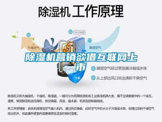 企業(yè)新聞除濕機營銷欲借互聯(lián)網(wǎng)上市