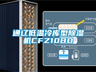 行業新聞通遼低溫冷庫型除濕機CFZ10BD
