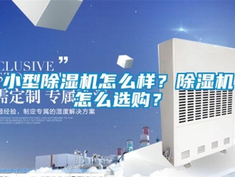 行業(yè)新聞小型除濕機怎么樣？除濕機怎么選購？