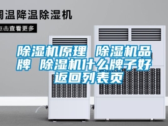 企業新聞除濕機原理 除濕機品牌 除濕機什么牌子好 返回列表頁