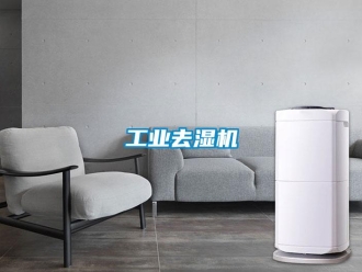 行業新聞工業去濕機