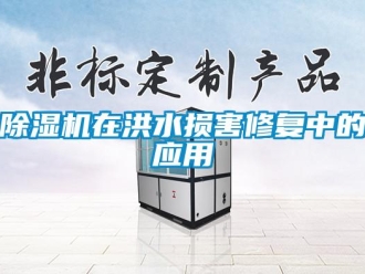 企業新聞除濕機在洪水損害修復中的應用