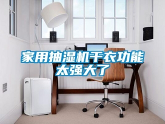行業新聞家用抽濕機干衣功能太強大了
