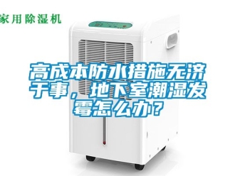 企業(yè)新聞高成本防水措施無濟(jì)于事，地下室潮濕發(fā)霉怎么辦？