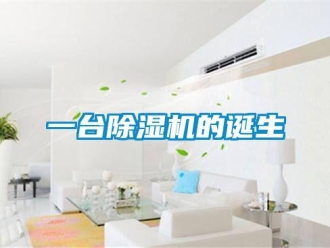知識(shí)百科一臺(tái)除濕機(jī)的誕生