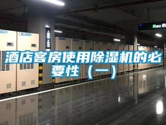 行業(yè)新聞酒店客房使用除濕機(jī)的必要性（一）
