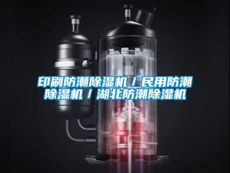 行業新聞印刷防潮除濕機／民用防潮除濕機／湖北防潮除濕機