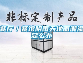 企業(yè)新聞餐廳／餐館陰雨天地面潮濕總么辦