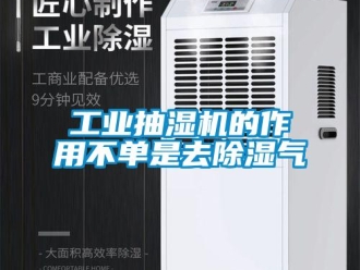 企業(yè)新聞工業(yè)抽濕機(jī)的作用不單是去除濕氣
