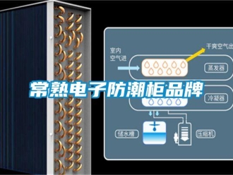 企業新聞常熟電子防潮柜品牌