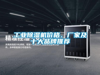 企業(yè)新聞工業(yè)除濕機(jī)價(jià)格、廠家及十大品牌推薦