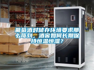 知識(shí)百科葡萄酒對(duì)儲(chǔ)存環(huán)境要求那么苛刻，酒窖如何長(zhǎng)期保持恒溫恒濕？