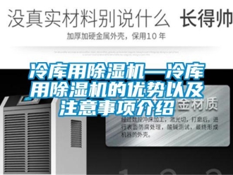 行業(yè)新聞冷庫用除濕機—冷庫用除濕機的優(yōu)勢以及注意事項介紹