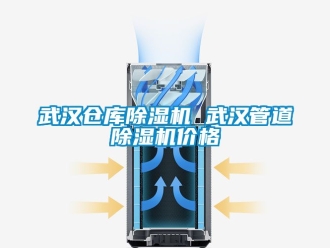 企業新聞武漢倉庫除濕機 武漢管道除濕機價格