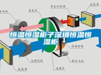 知識百科恒溫恒濕柜子深圳恒溫恒濕柜