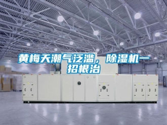 行業新聞黃梅天潮氣泛濫，除濕機一招根治